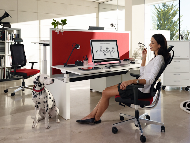 ergonomska uredska stolica black dot u interijeru za radnim stolom podesivim po visini