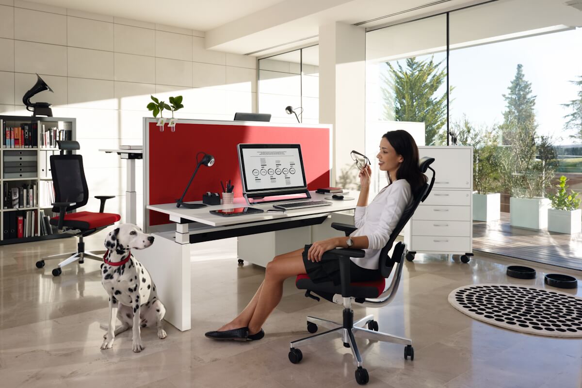 ergonomske uredske stolice black dot s naslonom za glavu za radnim stolom u interijeru
