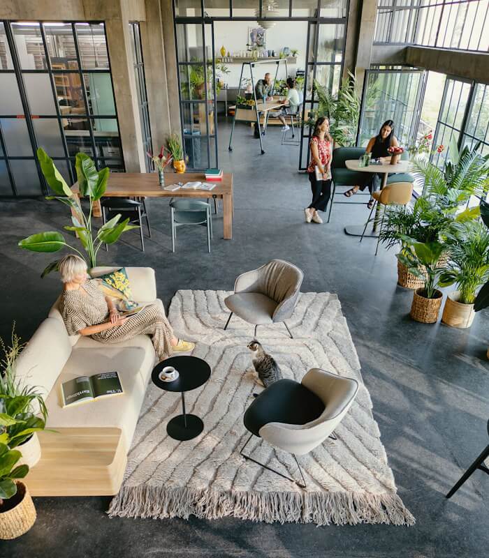 se cafe spot lounge fotelje u bez nijansama u interijeru